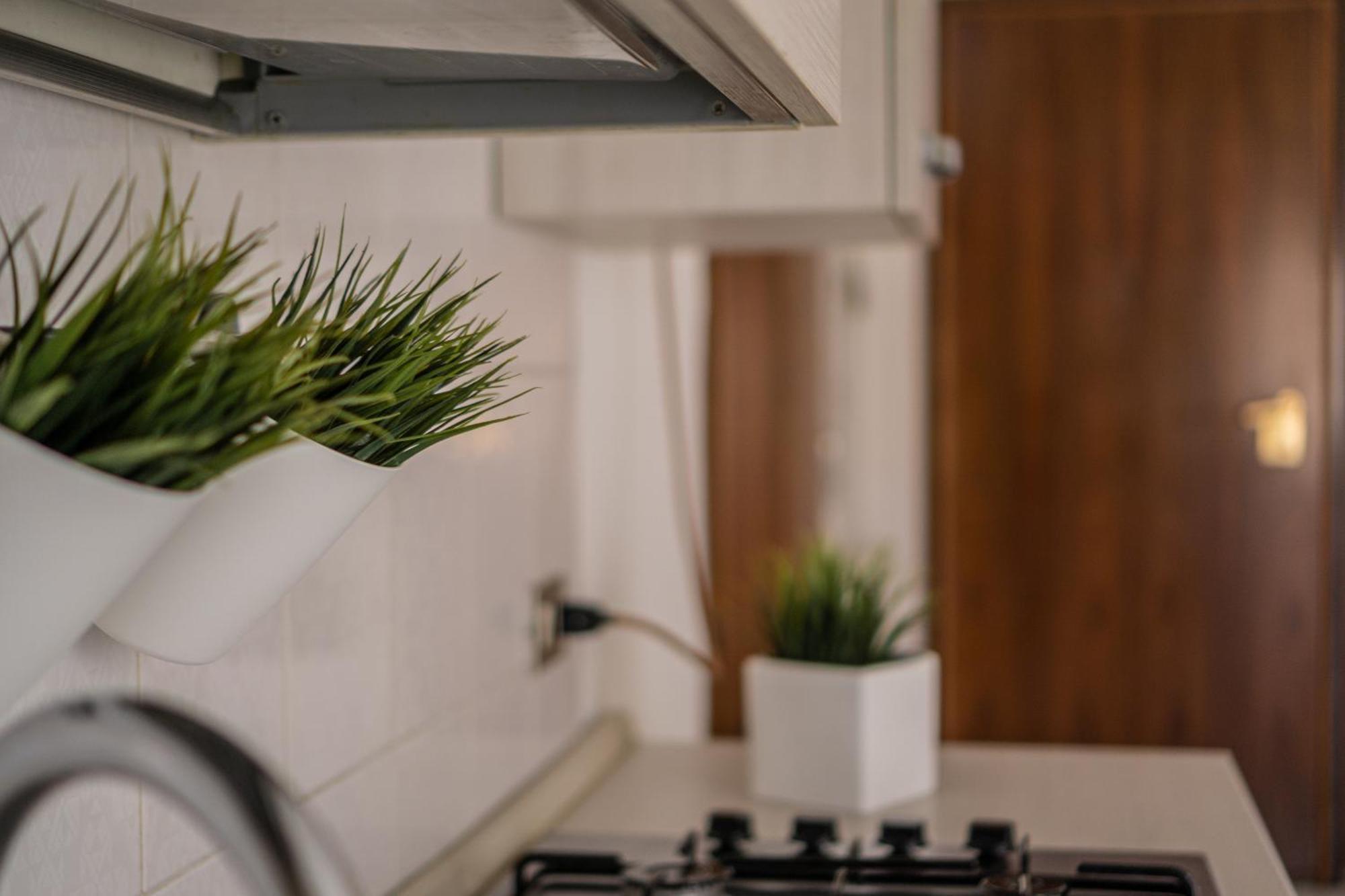 Apartament Patrizia & Giuseppe Scorzè Zewnętrze zdjęcie